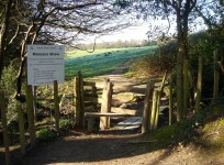 Manser’s Shaw